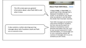 Flash SMS information and warning info