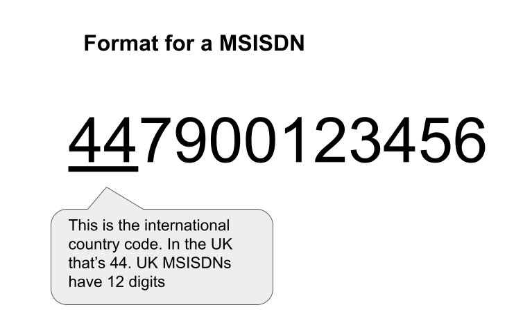 What Is A MSISDN The SMS Works   Format Of A MSISDN 